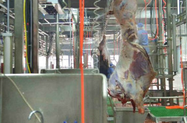南宫NG28平台网站,南宫NG·28(中国)相信品牌力量,NG28相信品牌的力量食品 南宫NG28平台网站,南宫NG·28(中国)相信品牌力量,NG28相信品牌的力量食品